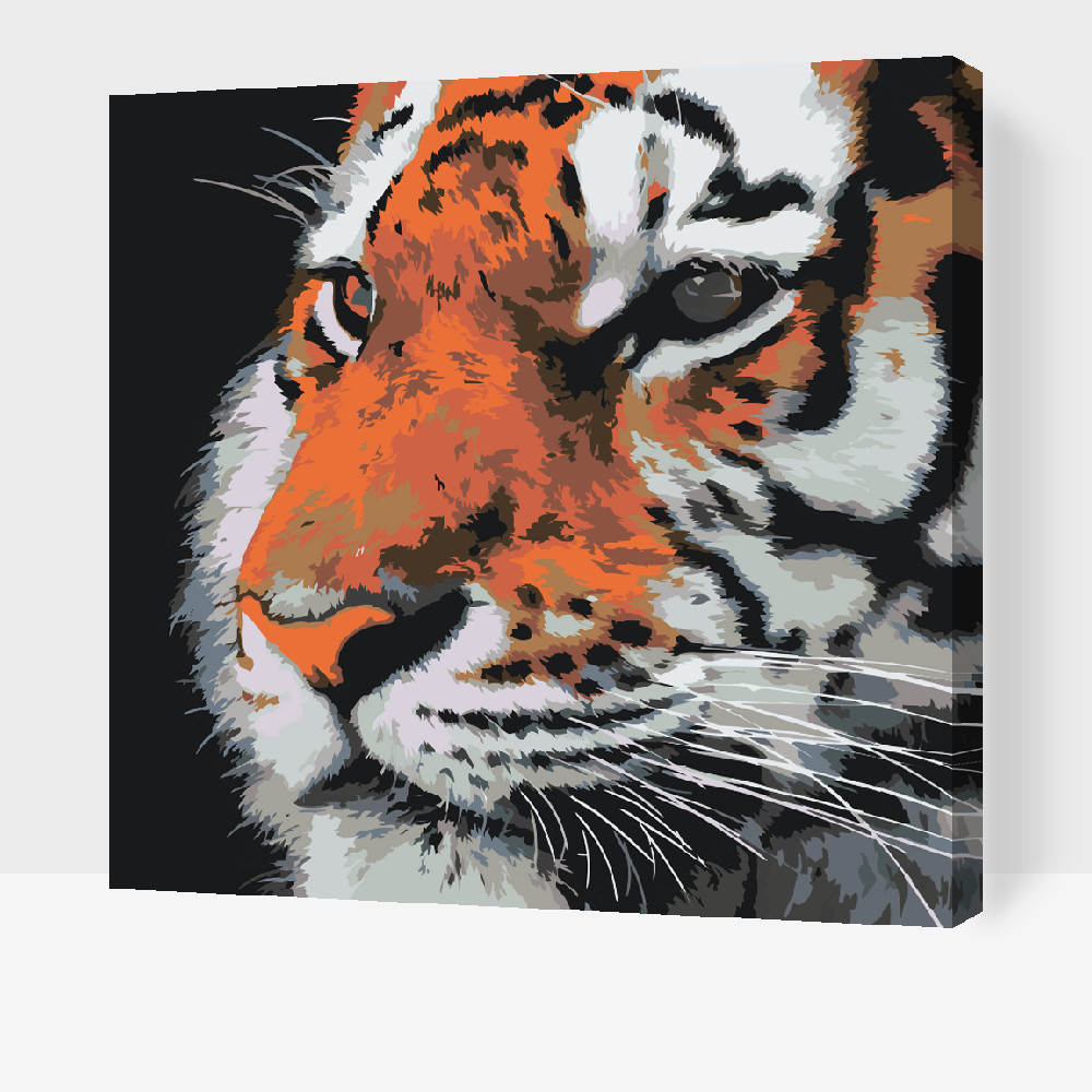 Paint by number - Tiger