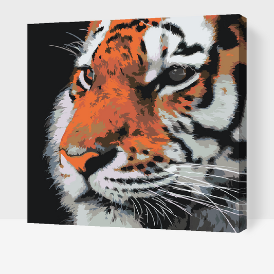 Paint by number - Tiger