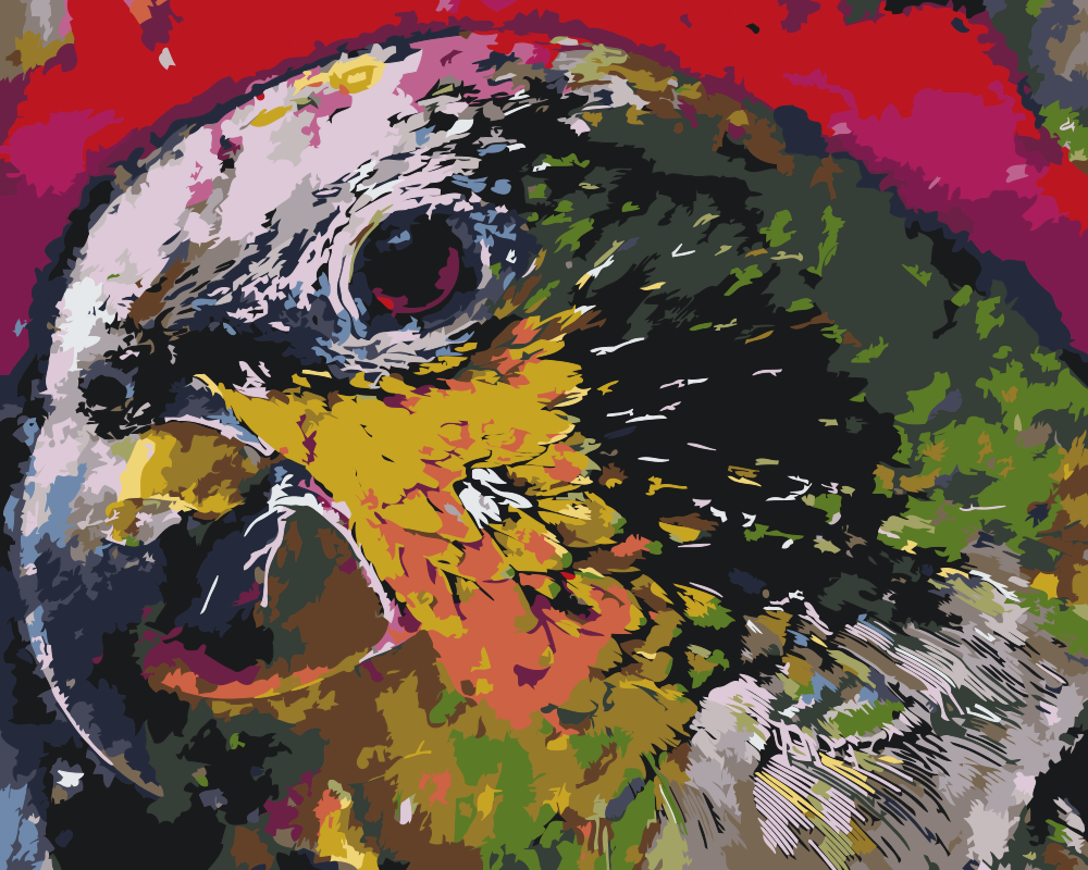 Paint by number - Papegøjehoved