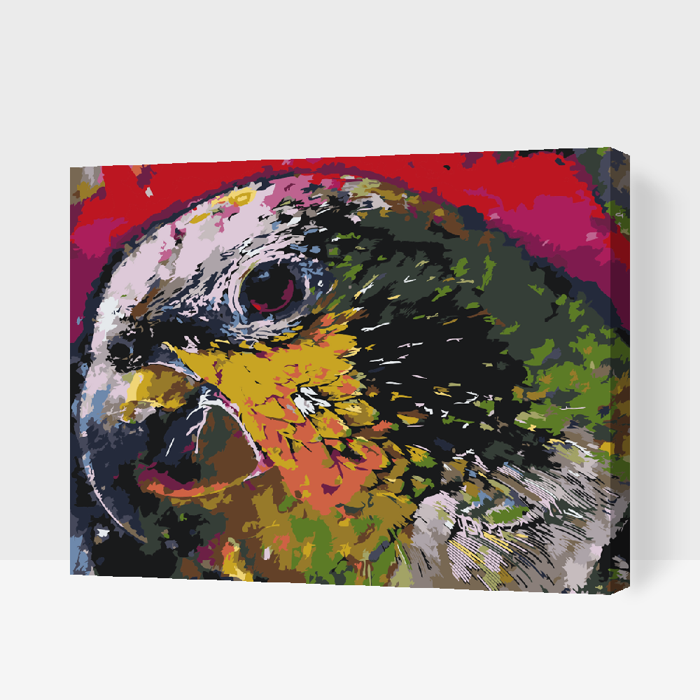 Paint by number - Papegøjehoved