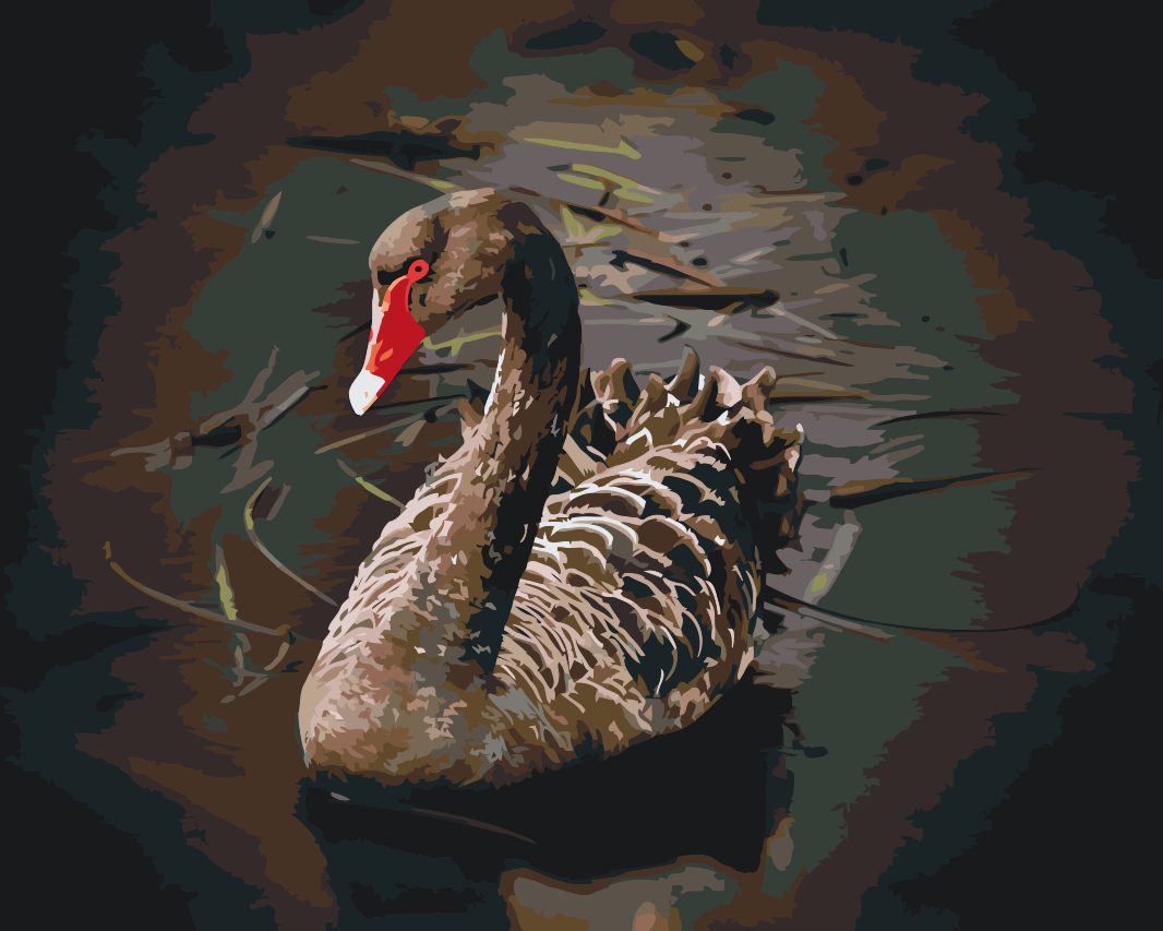 Paint by number - Sort Svane