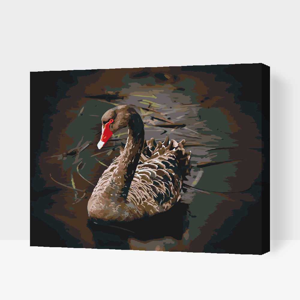 Paint by number - Sort Svane