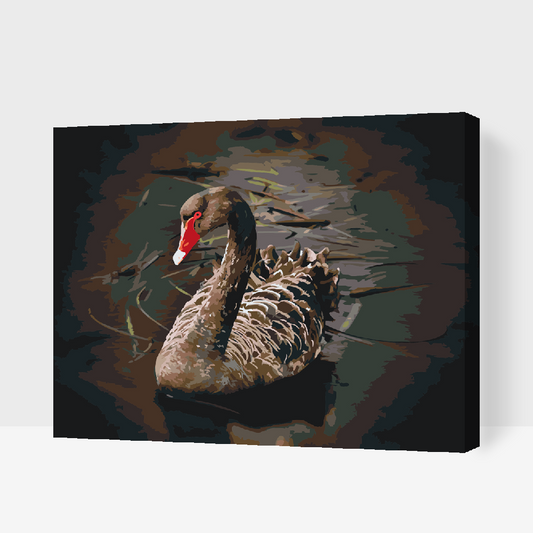 Paint by number - Sort Svane