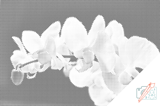 Dotting - Hvid Orkidé 2