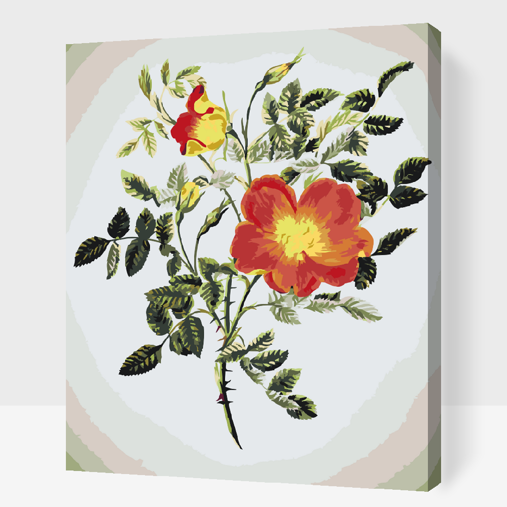Paint by number - Vintage Flowers VI