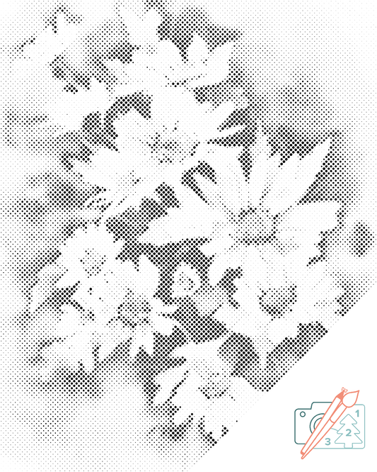 Dotting - Efterårsblomst, hvid aster