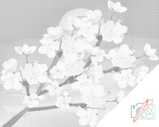 Dotting - Kirsebærblomster