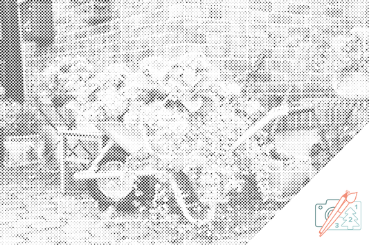 Dotting - Hortensiaer