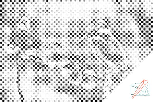 Dotting - Sommerfugl og isfugl