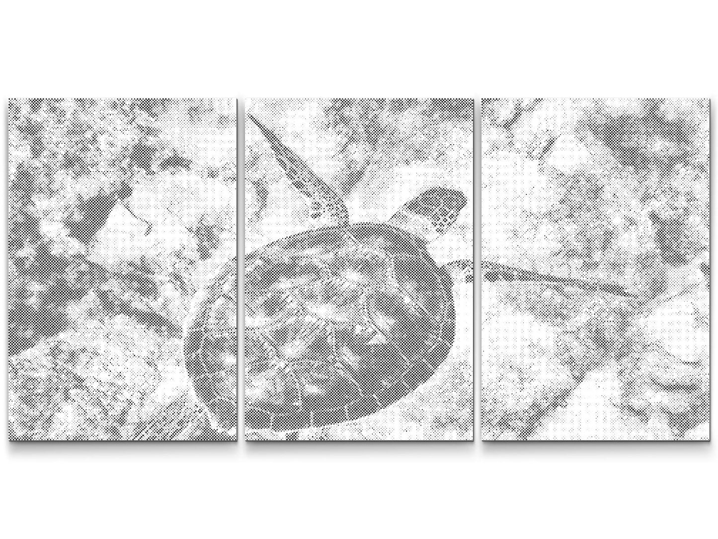 Dotting - Sea Turtle (sæt af 3)