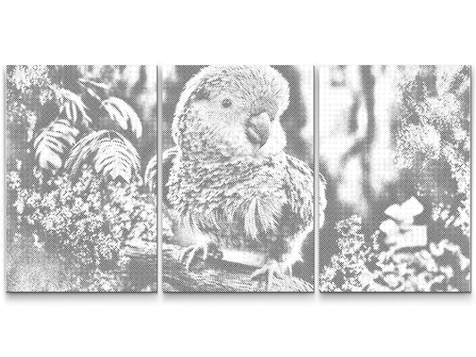 Dotting - Parrot (sæt af 3)