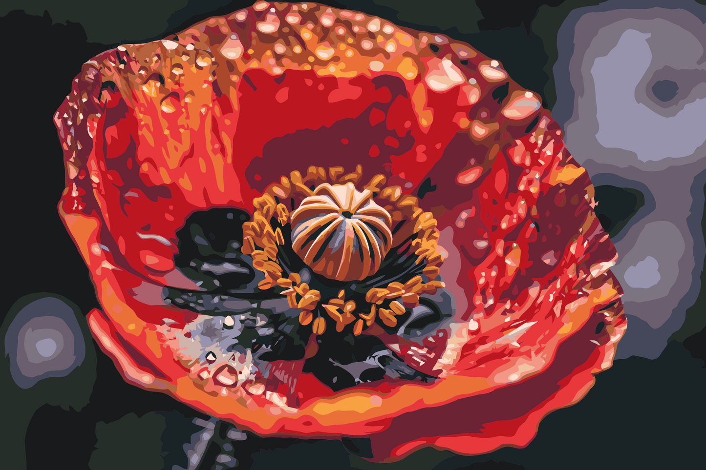 Paint by number - Valmueblomst