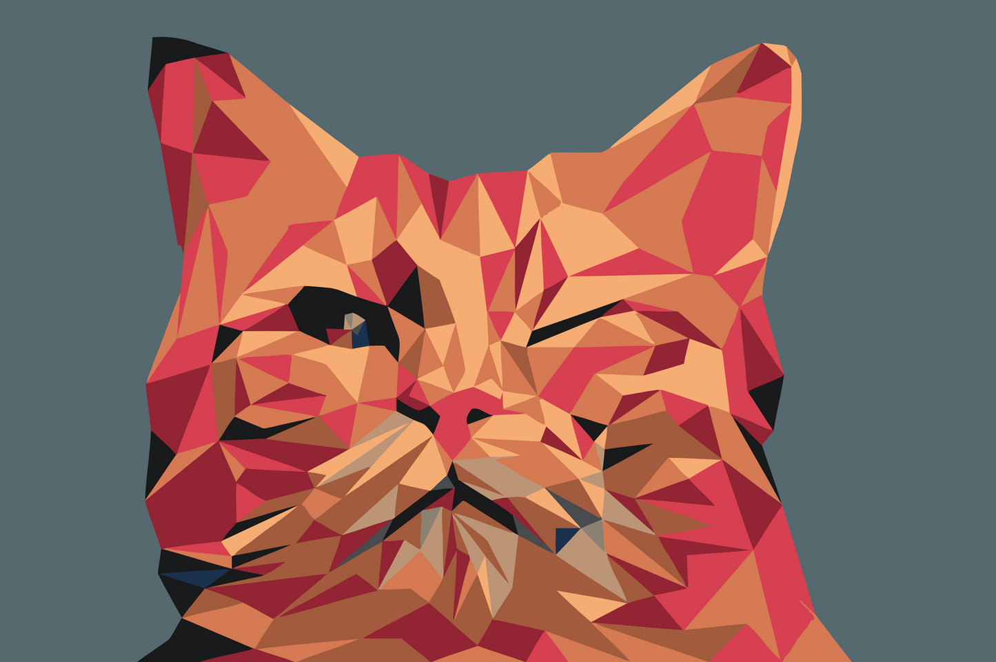 Paint by number - Vector Cat