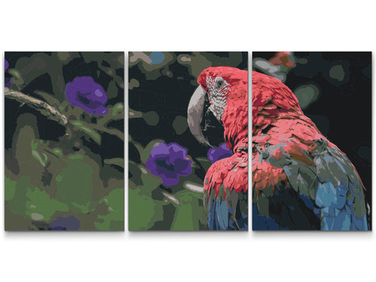 Paint by number - Ara Macao-papegøje (sæt af 3)