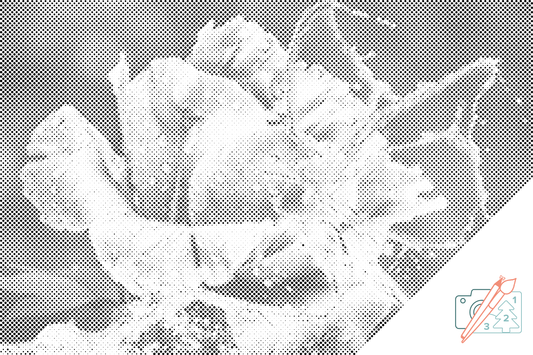 Dotting - Rose og Sommerfugl lavet af vanddråber