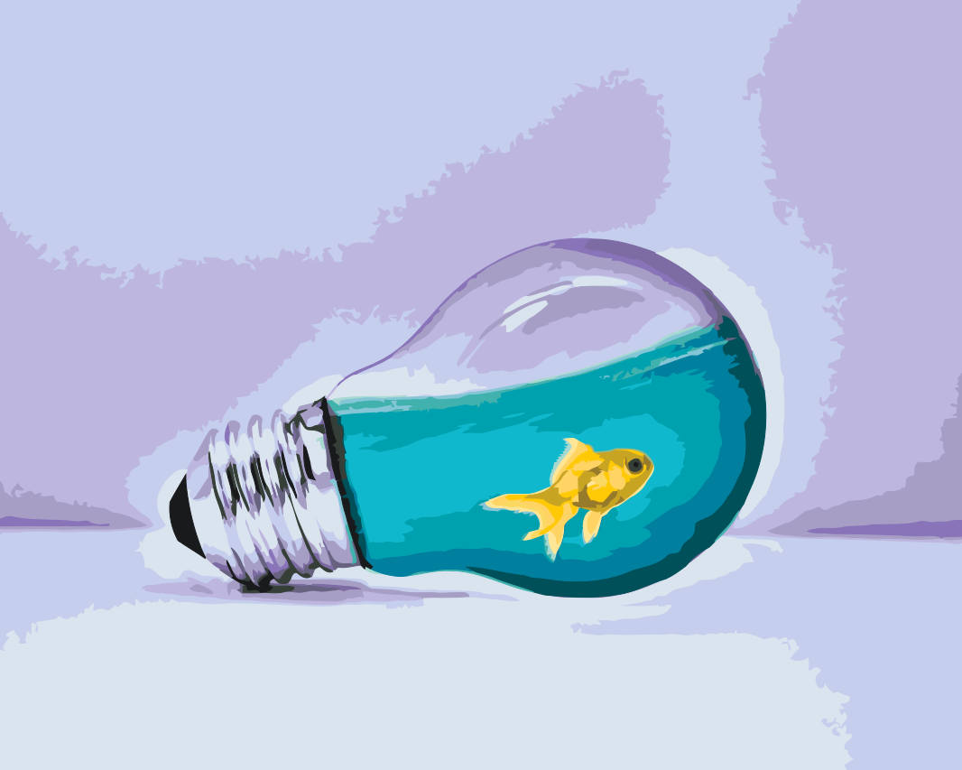 Paint by number - Gold Fish