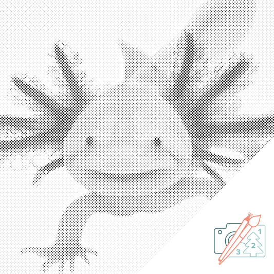 Dotting - Axolotl 3