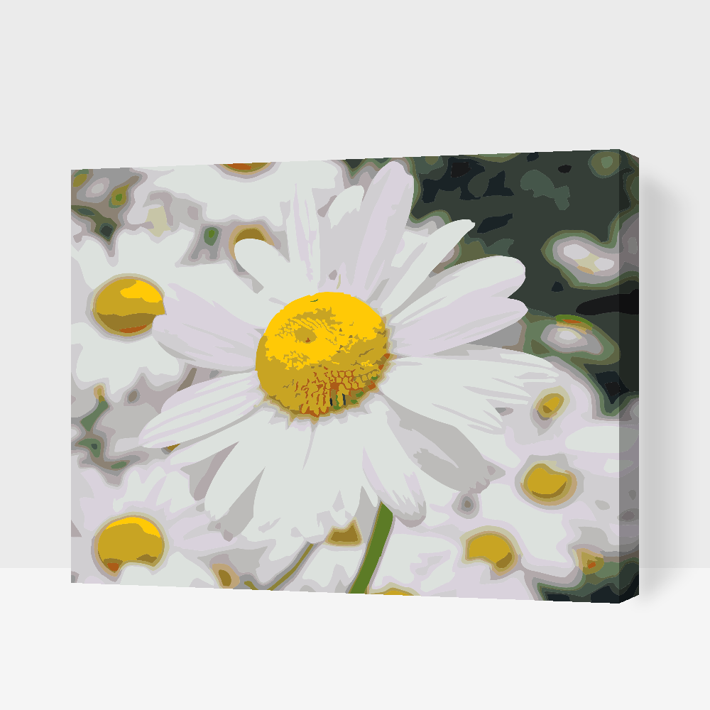 Paint by number - Margueritter