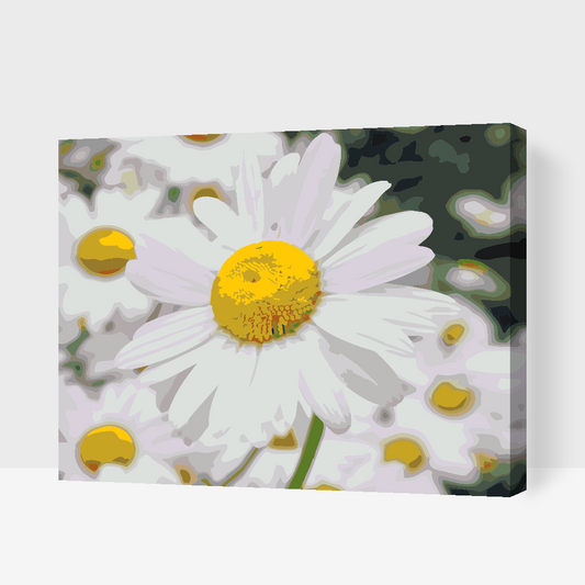 Paint by number - Margueritter