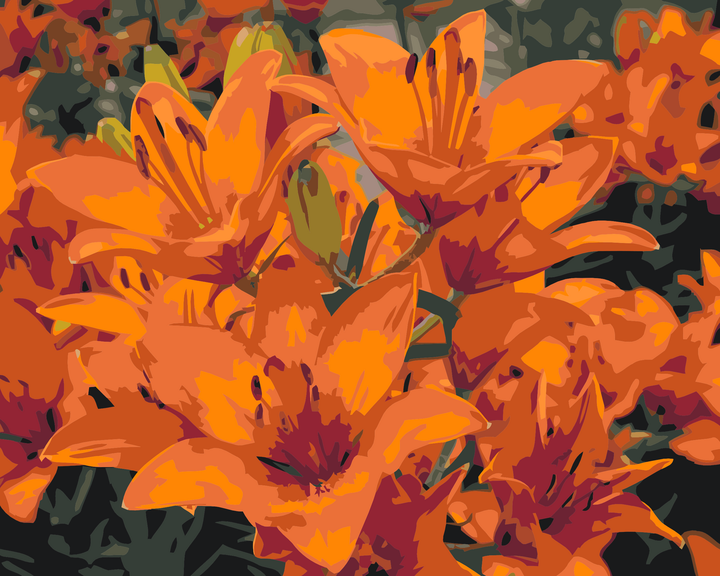 Paint by number - Orange liljer