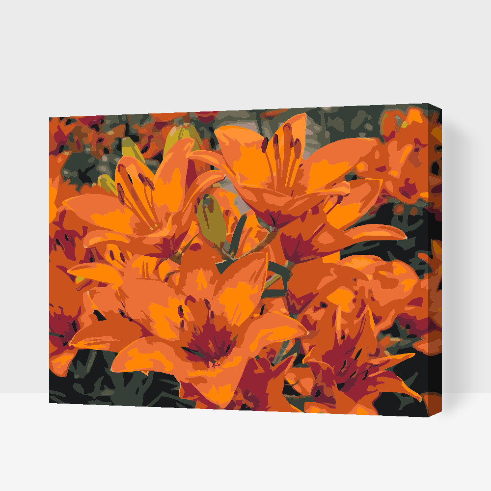 Paint by number - Orange liljer