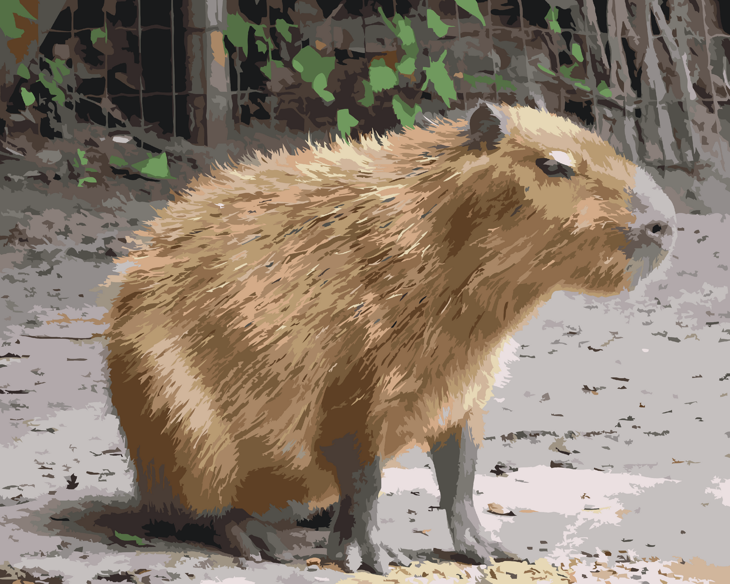 Paint by number - Capybara