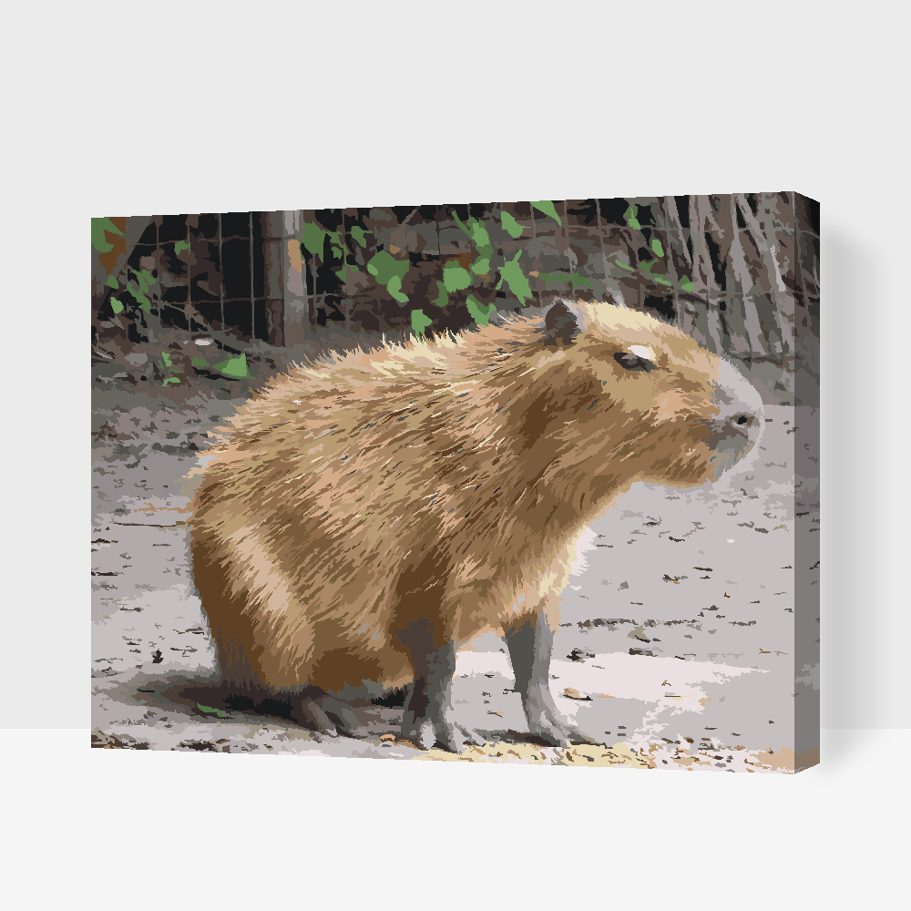 Paint by number - Capybara