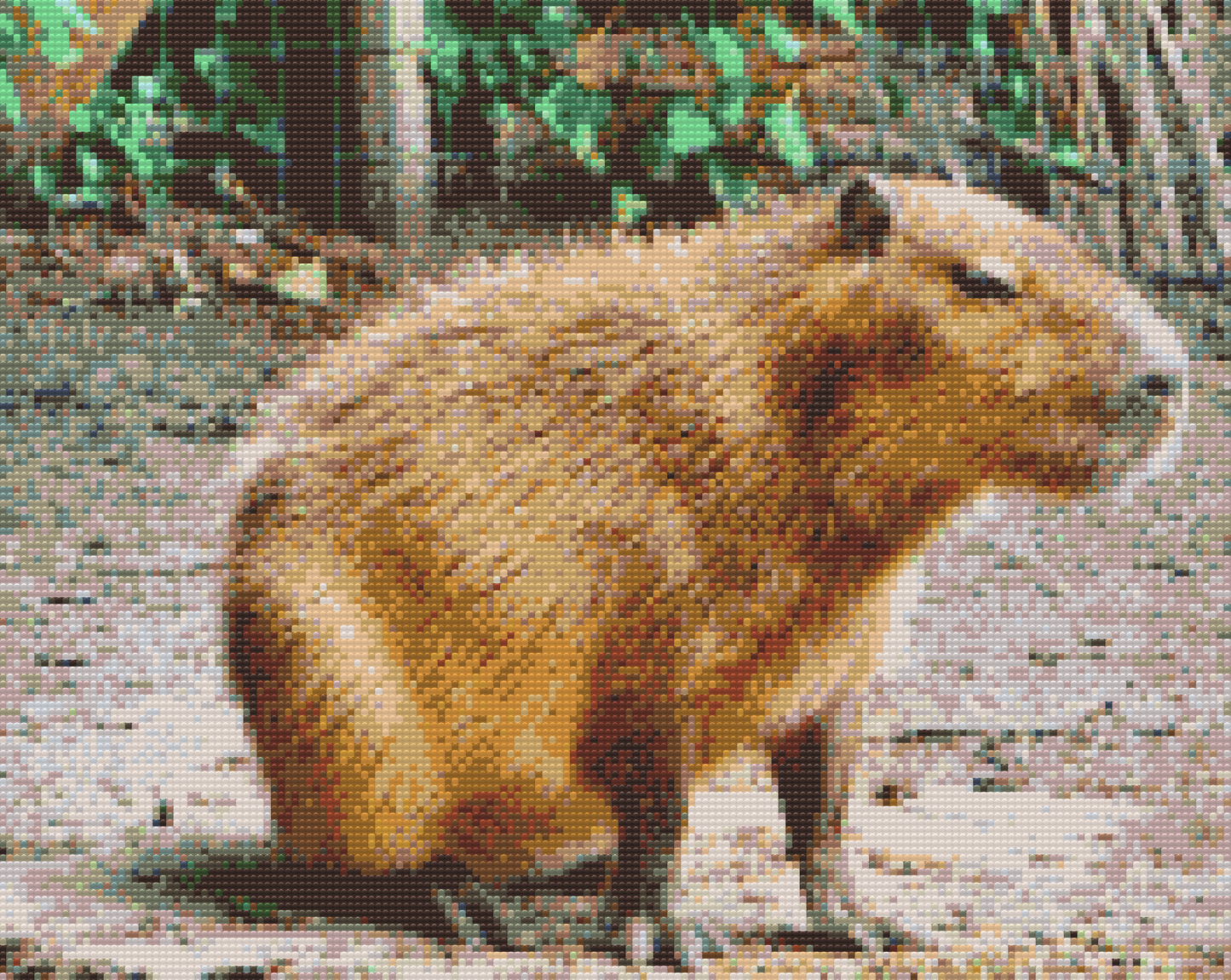 Diamond Paint - Capybara