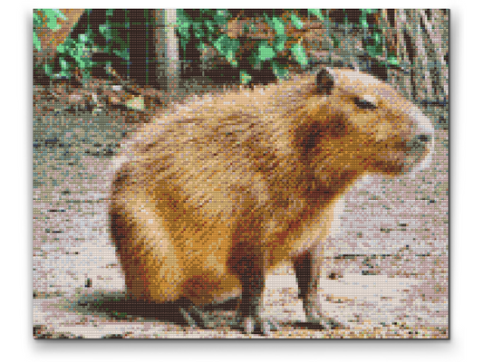 Diamond Paint - Capybara