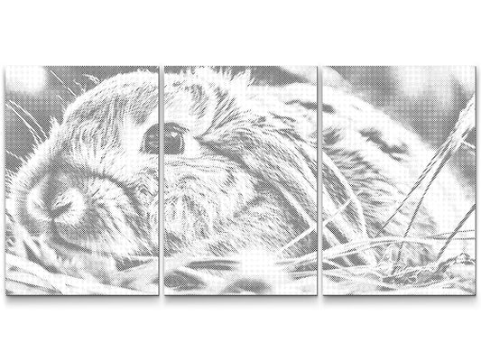 Dotting - Kanin (sæt af 3)