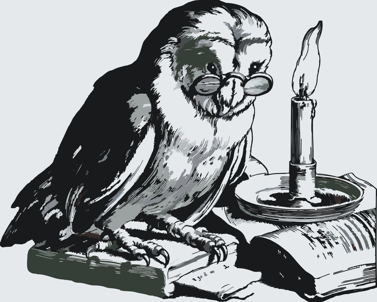 Paint by number - Uddannet Ugle