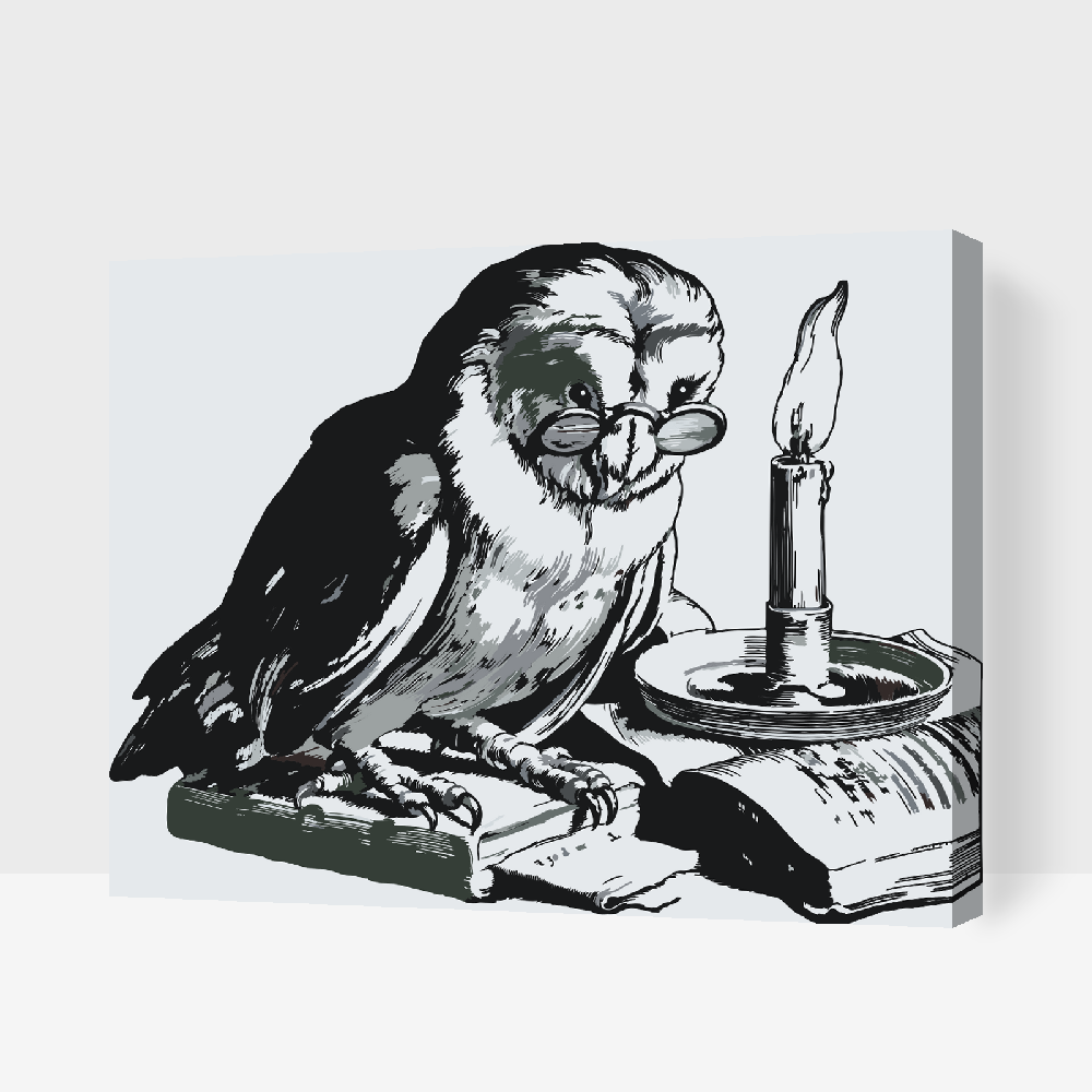 Paint by number - Uddannet Ugle