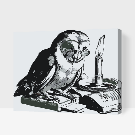 Paint by number - Uddannet Ugle