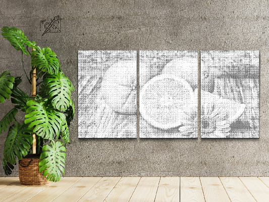 Dotting - Citrusfrugter, appelsin (sæt af 3)