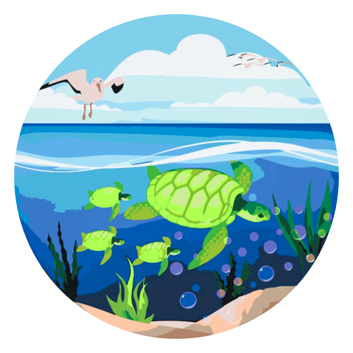 Paint by number - Skildpadder i havet