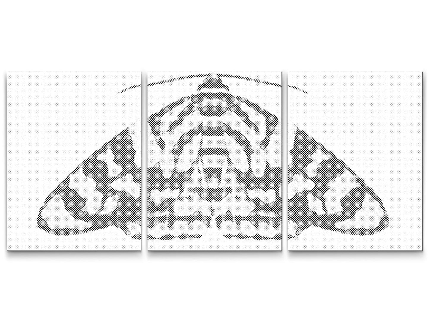 Dotting - Farverig natsværmer (sæt af 3)