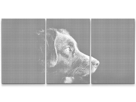 Dotting - Portræt af en hund (sæt af 3)