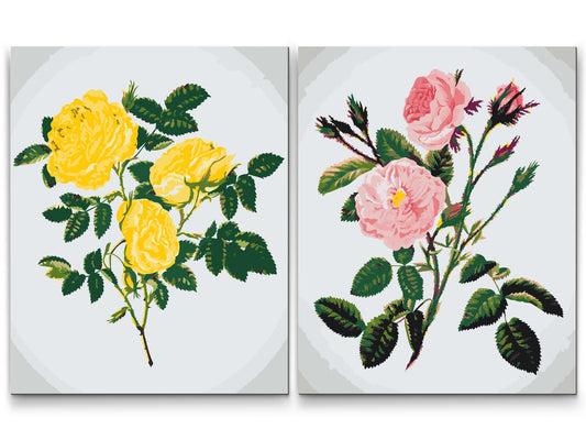 Paint by number - Vilde roser (sæt af 2)