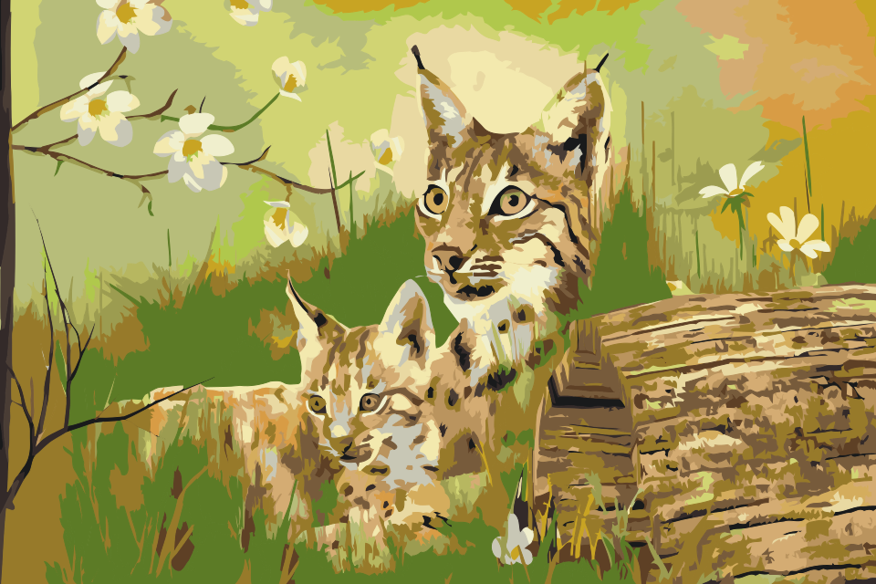 Paint by number - Vilde katte i naturen