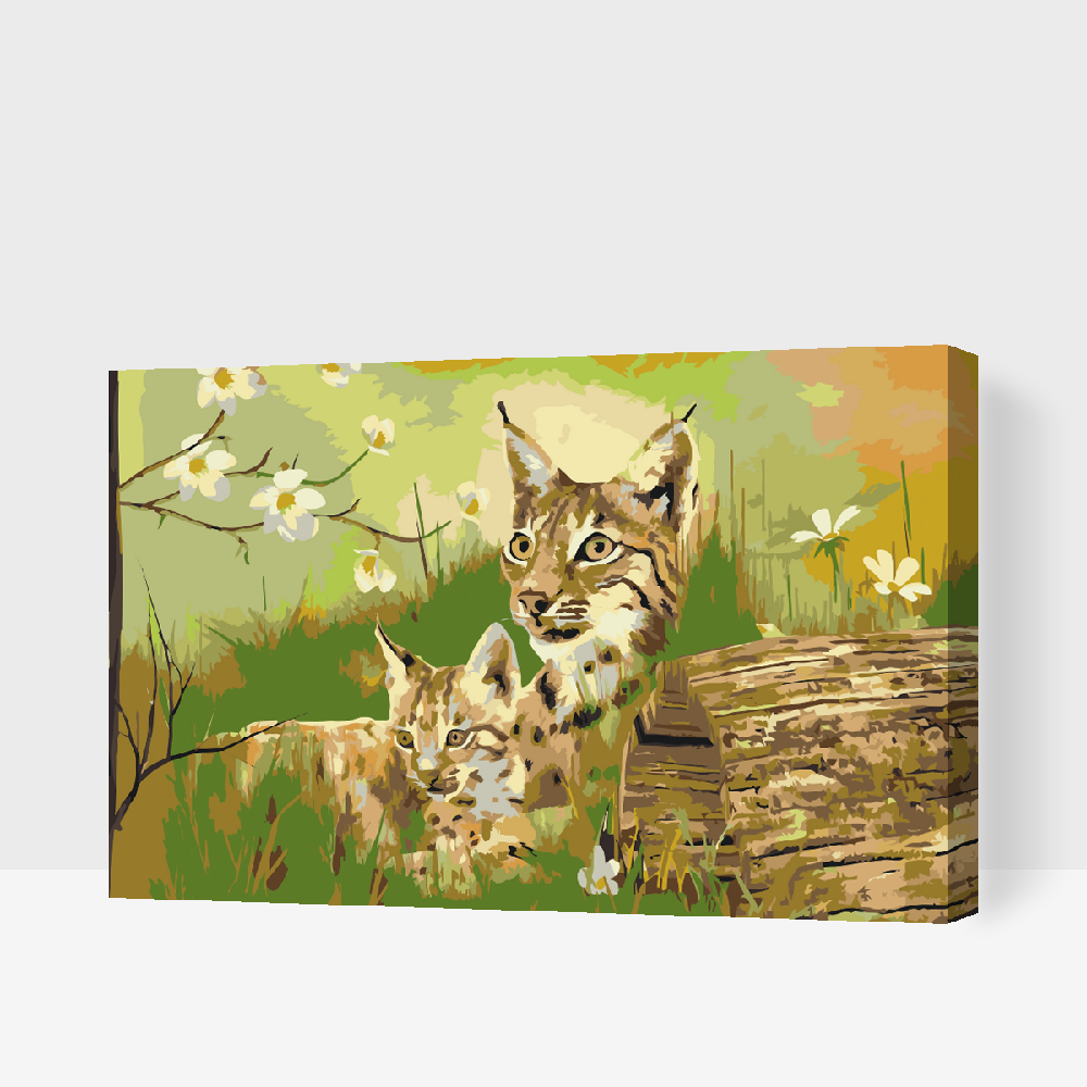 Paint by number - Vilde katte i naturen