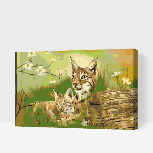 Paint by number - Vilde katte i naturen
