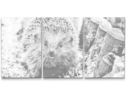 Dotting - Pindsvin, et natvæsen (sæt af 3)