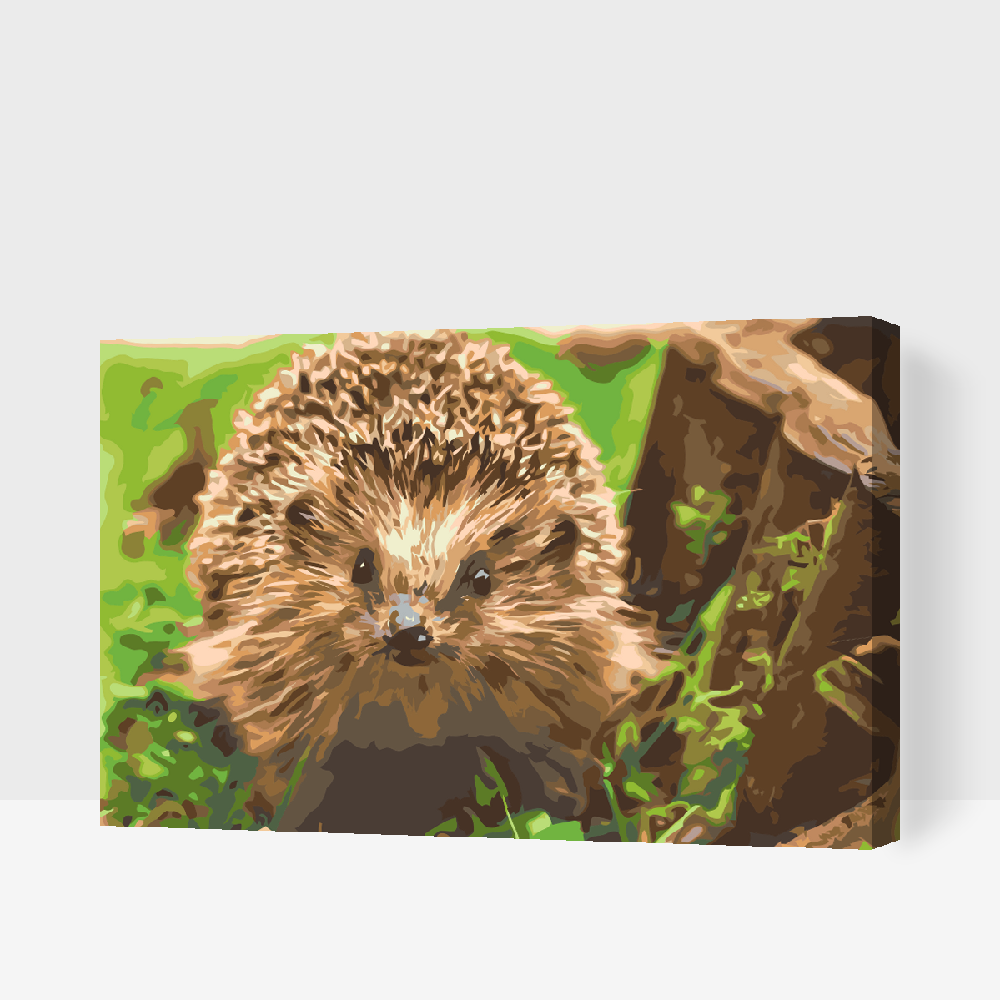 Paint by number - Pindsvinets Natvæsen