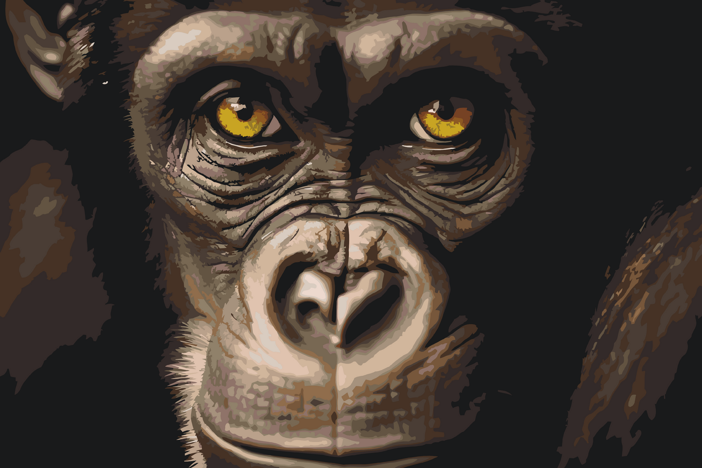 Paint by number - Chimpanse tæt på