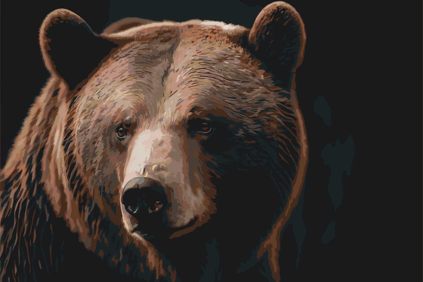 Paint by number - Grizzlybjørn