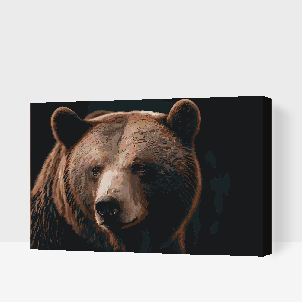 Paint by number - Grizzlybjørn