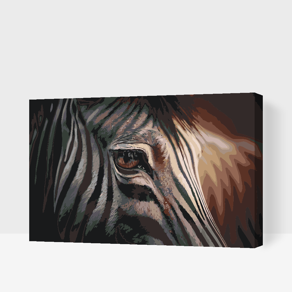 Paint by number - Zebra tæt på
