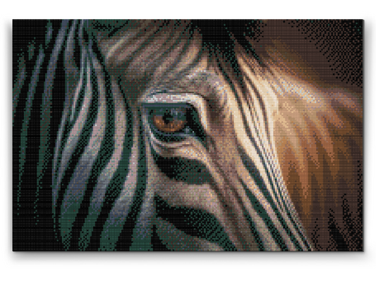 Diamond Paint - Zebra tæt på
