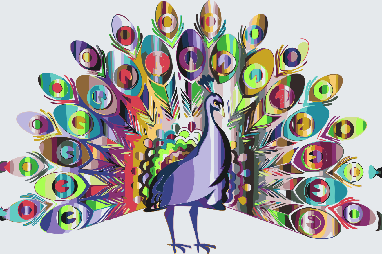 Paint by number - Farverig påfugl