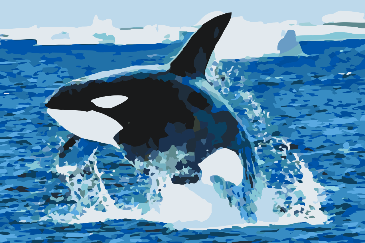 Paint by number - Orca Jump